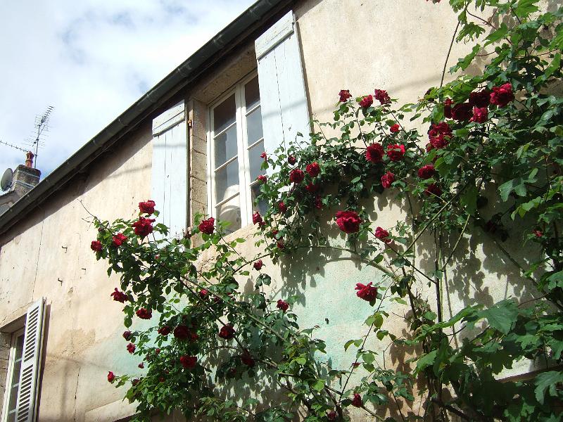 2010-05- (57).JPG